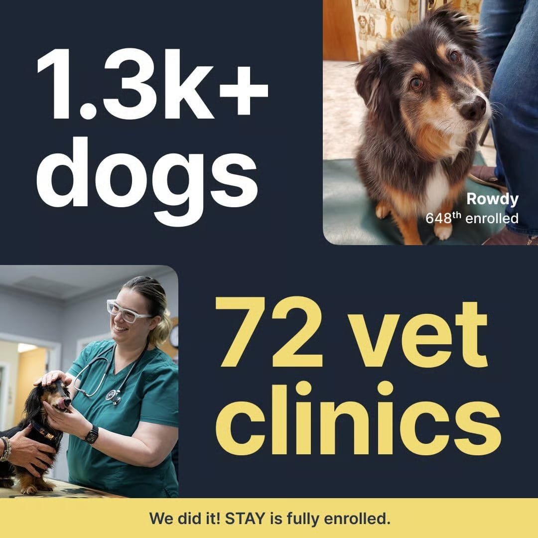 One step closer to a lifespan‐extension drug for dogs & Enterprise Sales Reality Check